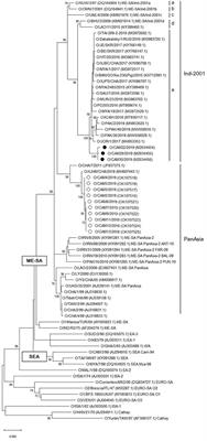 Identification of the O/ME-SA/Ind-2001e Sublineage of Foot-and-Mouth Disease Virus in Cambodia